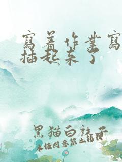 写着作业写着就插起来了