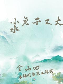 小兔子又大又多水