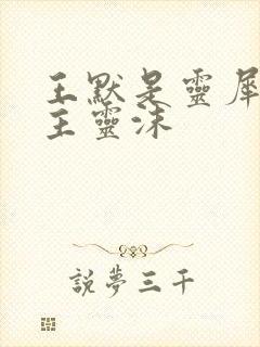 王默是灵犀阁公主灵沫