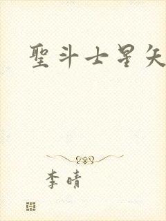 圣斗士星矢小说