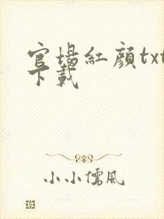 官场红颜txt下载