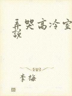 弄哭高冷室友小说