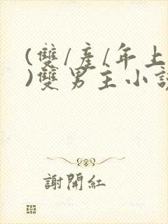 (双/产/年上)双男主小说