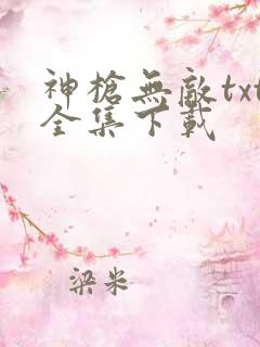 神枪无敌txt全集下载
