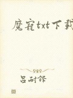 魔宠txt下载