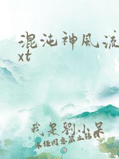 混沌神风流史txt