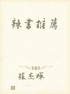 辣书推荐