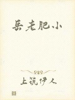 岳老肥小