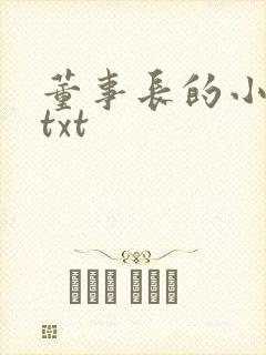 董事长的小王爷txt