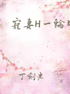 宠妻H一轮明月