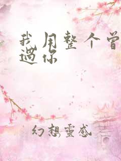 我用整个曾经爱过你