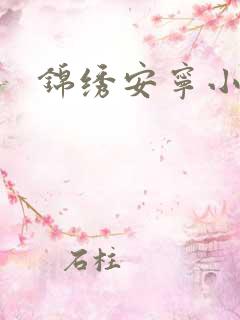 锦绣安宁小说