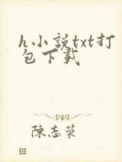 h小说txt打包下载