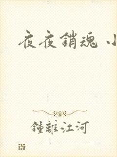 夜夜销魂 小说