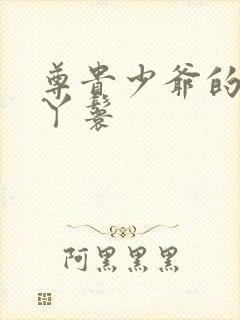 尊贵少爷的大牌丫鬟