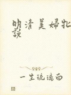 明清美妇牝户小说