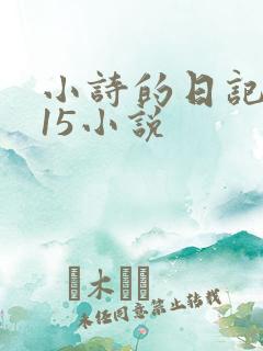 小诗的日记1一15小说
