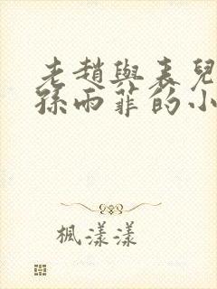 老赵与表儿媳妇孙雨菲的小说孙雨