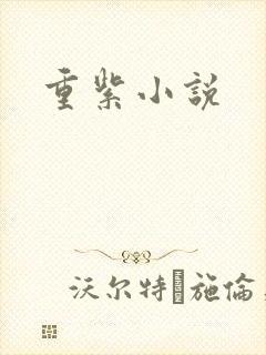 重紫小说