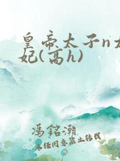 皇帝太子n太子妃(高h)