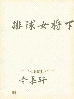 排球女将下载