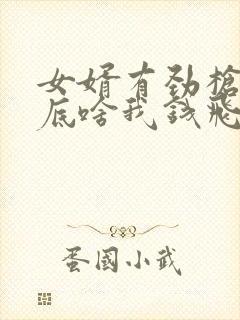 女婿有劲枪枪到底啥我钱飞了