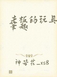 老板的玩具小米笔趣