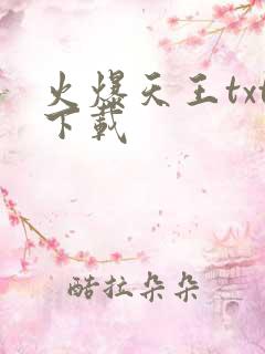火爆天王txt下载