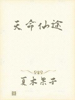 天命仙途