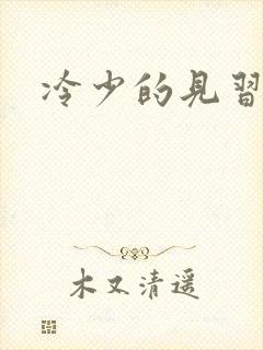 冷少的见习爱神