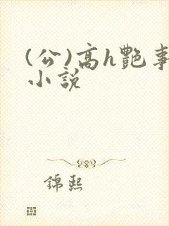 (公)高h艳事小说