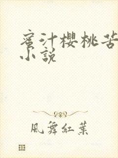 蜜汁樱桃苦咖啡小说