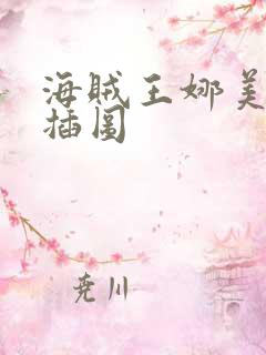 海贼王娜美被轮插图