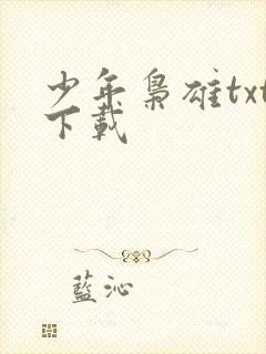 少年枭雄txt下载