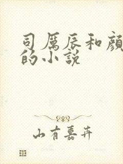 司厉辰和颜辞兮的小说