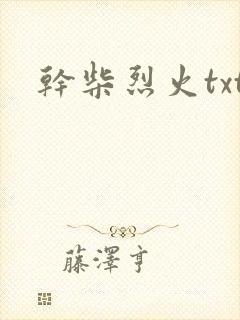 干柴烈火txt