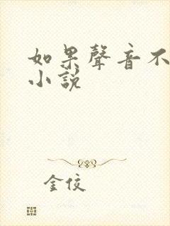 如果声音不记得小说