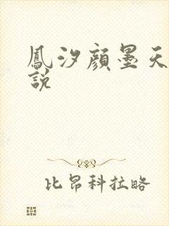 凤汐颜墨天问小说