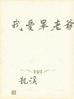 我爱毕老爷