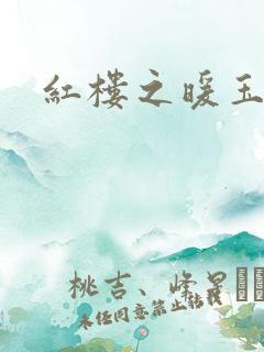 红楼之暖玉