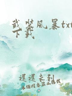 武装风暴txt下载