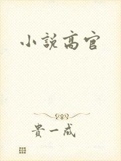 小说高官