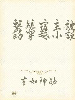 系统宿主被浇灌的穿越小说