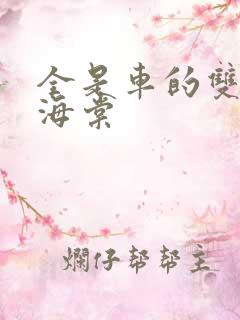 全是车的双男主海棠