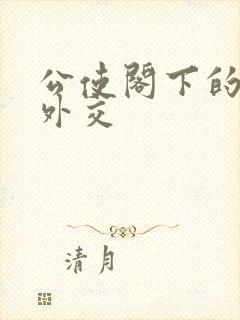 公使阁下的秘密外交