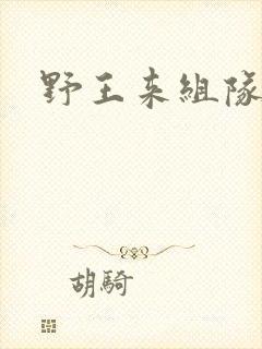 野王来组队小说