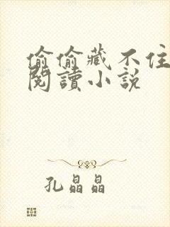 偷偷藏不住免费阅读小说