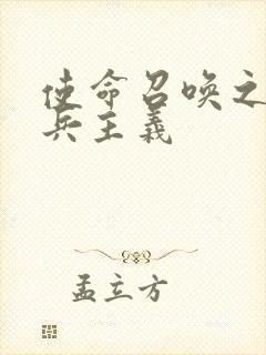 使命召唤之大炮兵主义