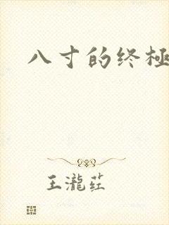 八寸的终极凶器