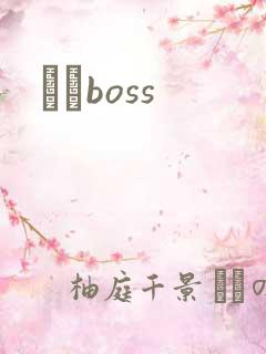 ӥȮboss